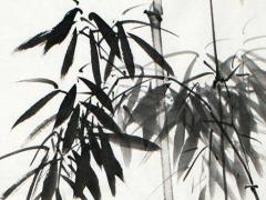 屬狗2025年多大年紀(jì)結(jié)婚好 屬狗2024年幾月結(jié)婚最好