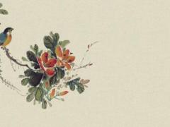 兔本命年穿紅色有啥講究嗎,兔本命年要佩戴什么