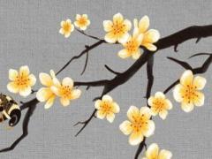 屬兔臥室財位在哪里,屬兔的臥室方位