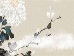 2010生肖虎2025年運(yùn)勢(shì)及運(yùn)程 86年虎女2025年每月運(yùn)勢(shì)及財(cái)運(yùn)