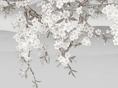 農歷三月兔本命年運勢如何,農歷3月兔