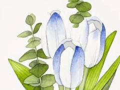 甲戌日女命婚姻和命運,甲戌日柱女命的秘密