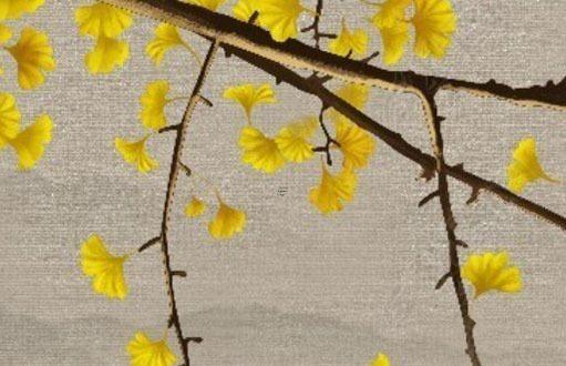 本命年狗帶生肖兔好嗎,本命年狗戴什么好